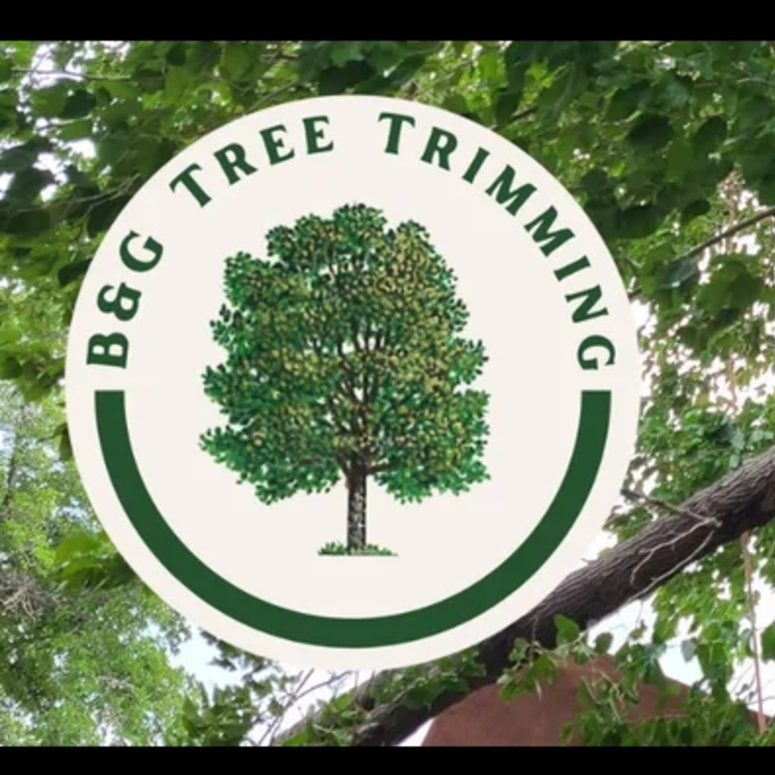 B&amp;G Tree Trimming Logo