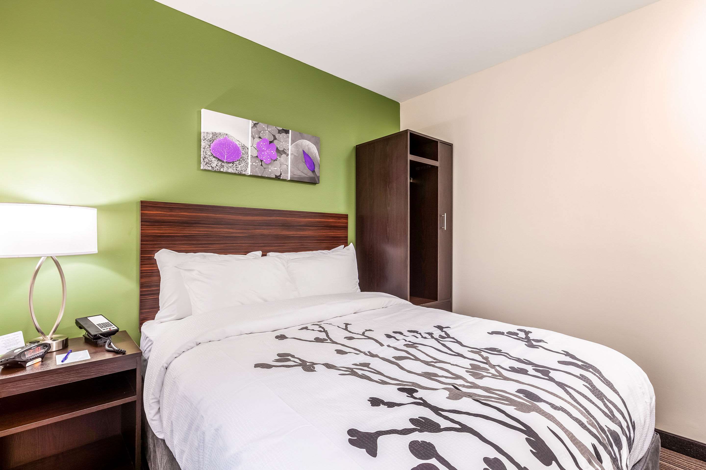 Sleep Inn & Suites Near Jfk Air Train Photo