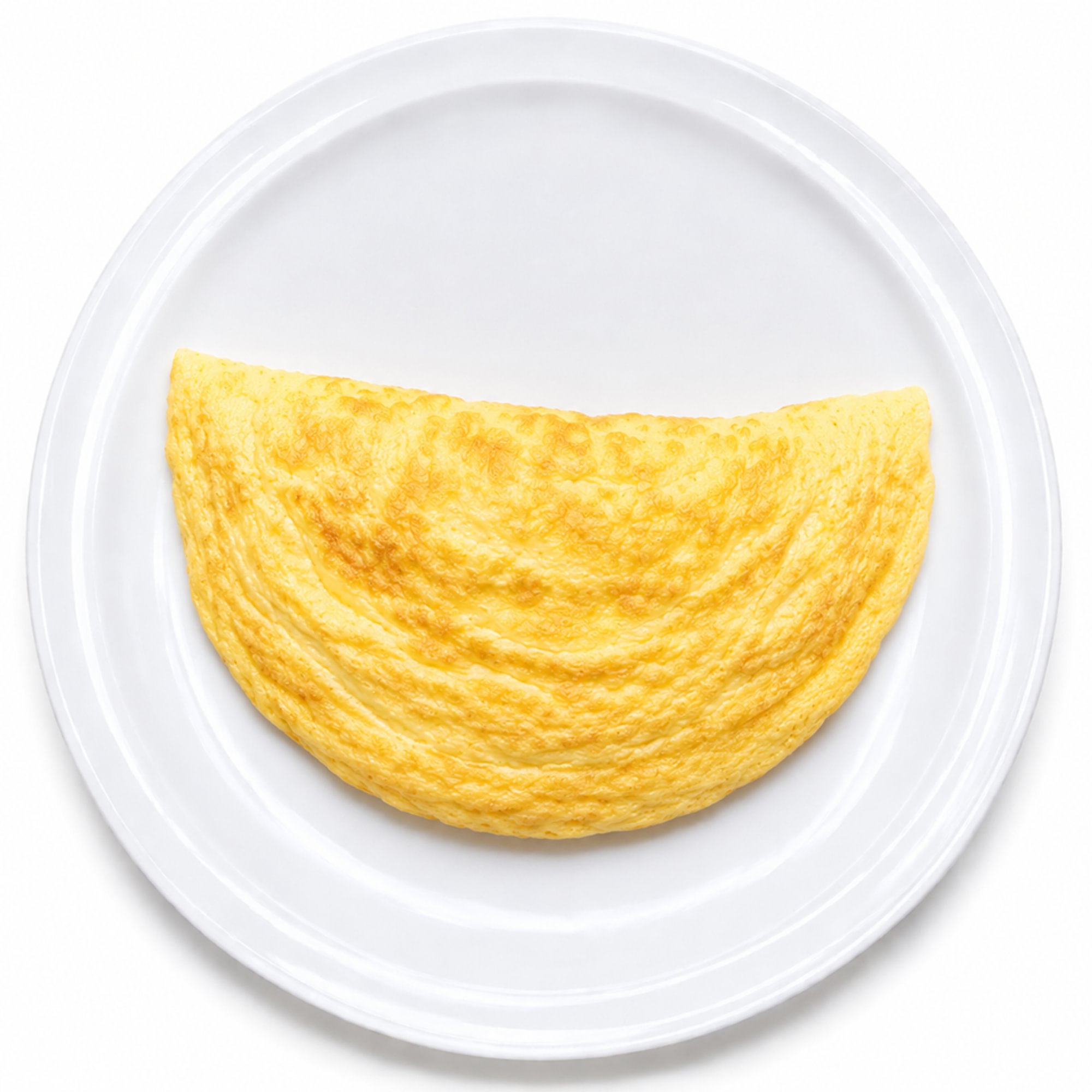 Plain Egg Omelette