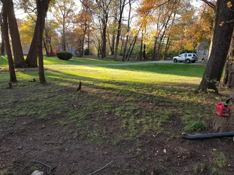 Back Hurt's Lawn Care Photo