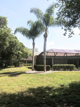 Images Ultimate Lawn Care & Tree Division