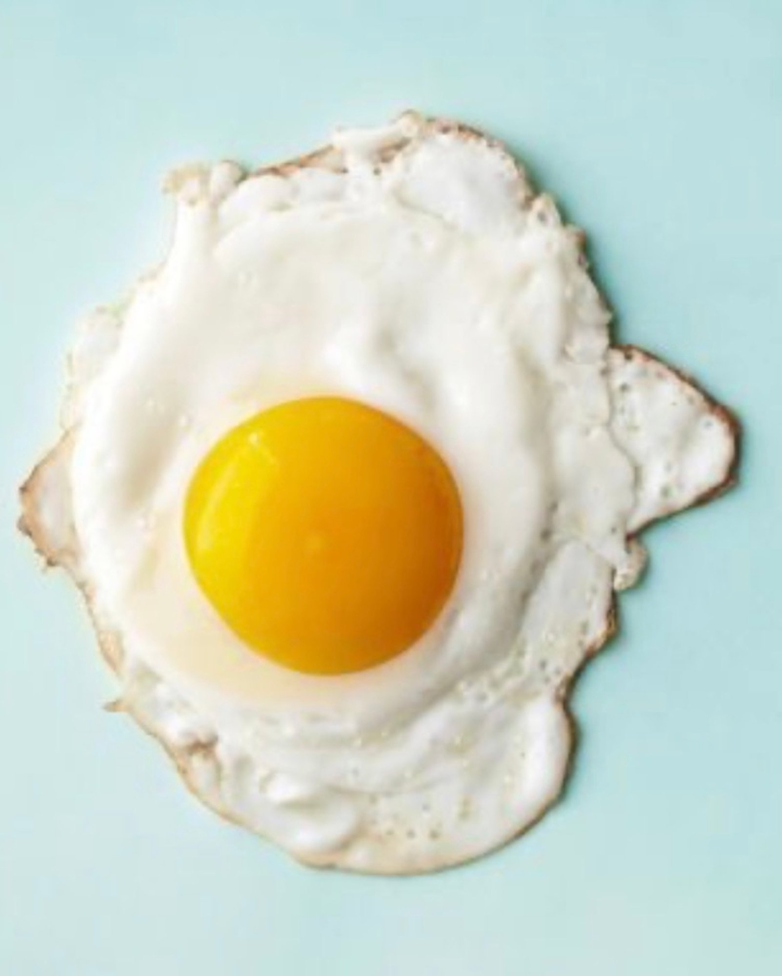 One Egg Add on