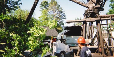 Todd’s Tip Top Complete Tree Service Photo