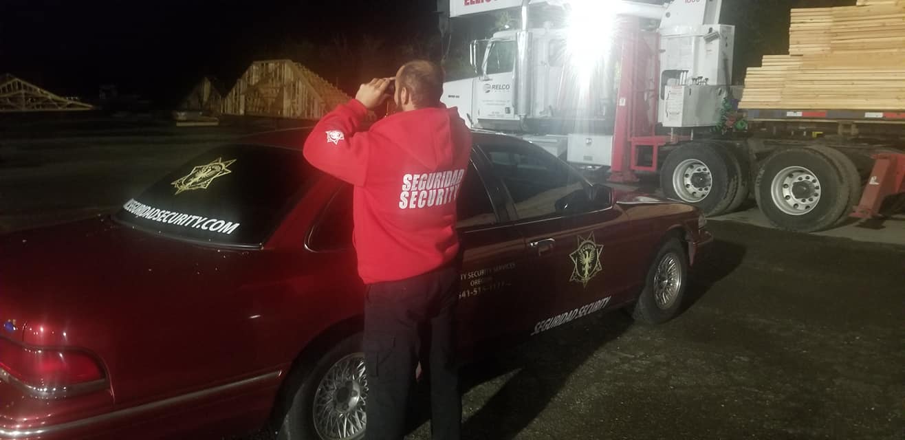 Seguridad Security Image