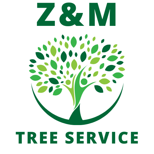 Z&M Tree Service TN