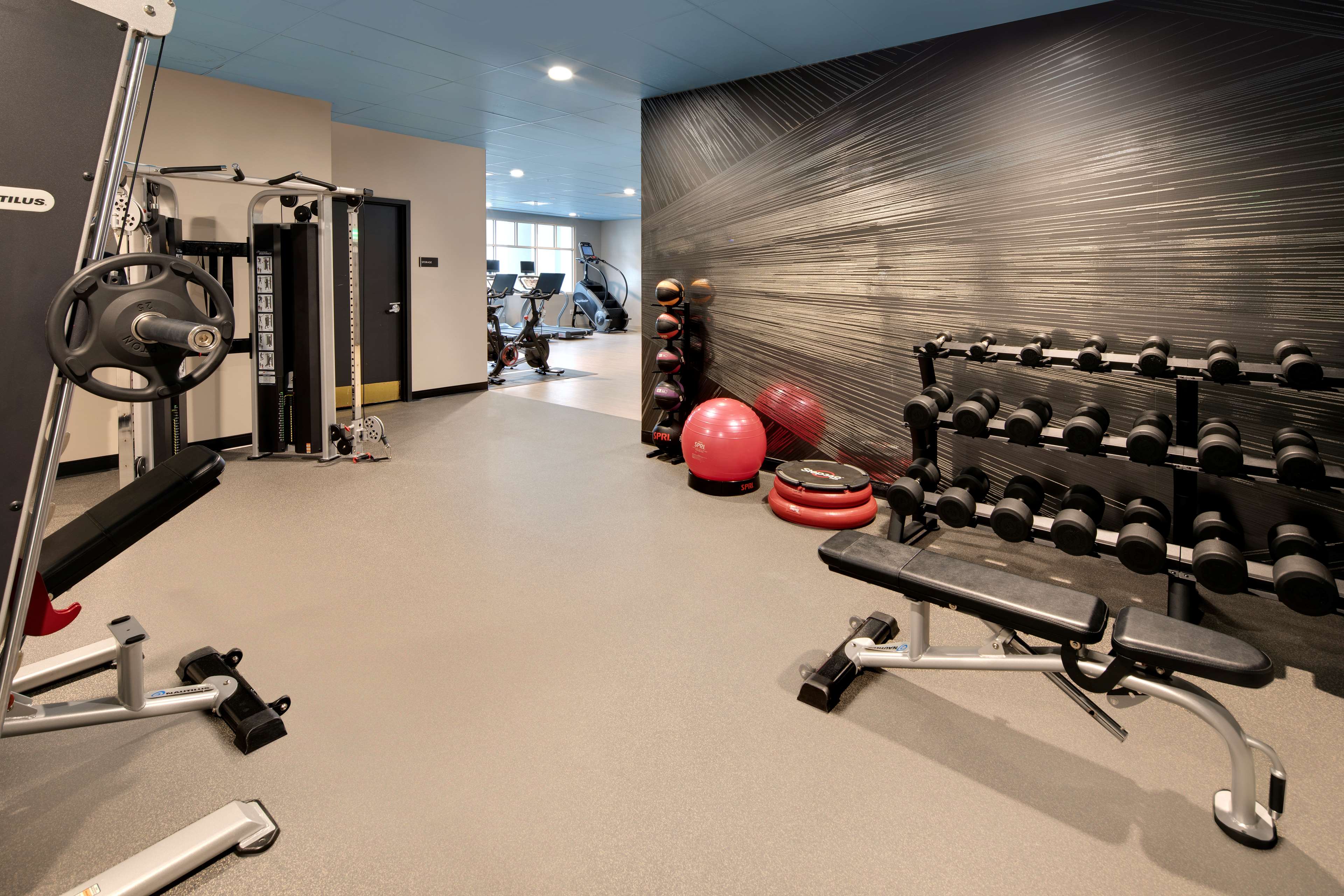 Health club  fitness center  gym