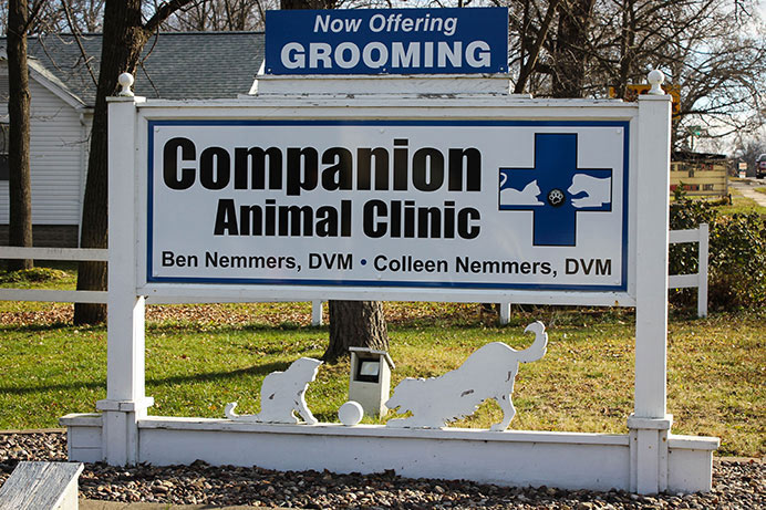 download companion animal hospital