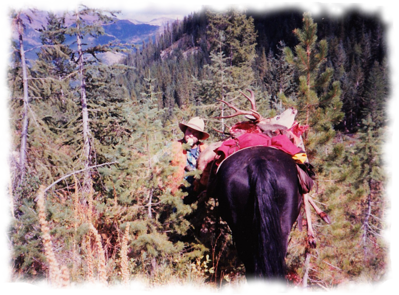 Benchmark Wilderness Guest Ranch Logo