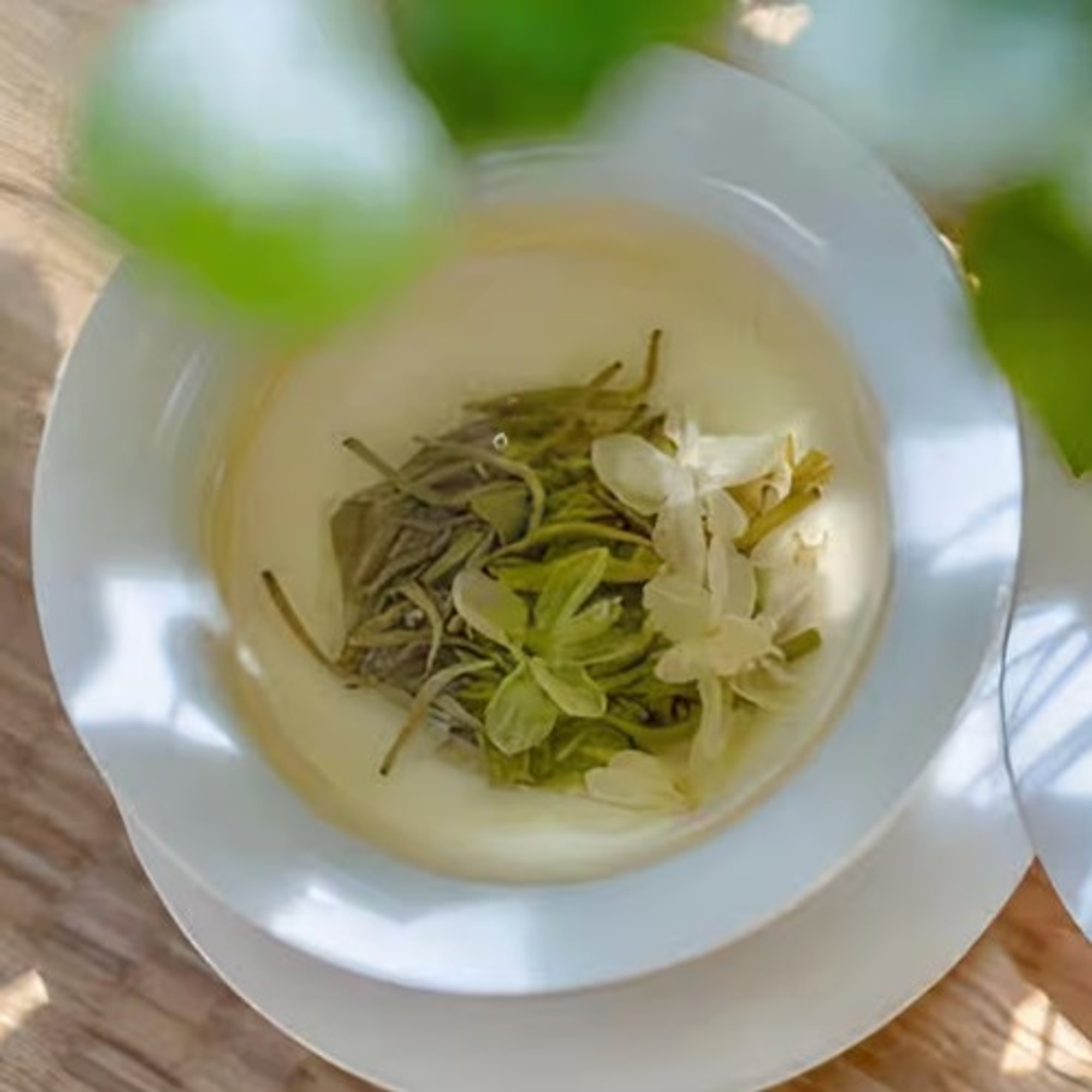 Hot Jasmine Green Tea (茉莉雪芽热茶）