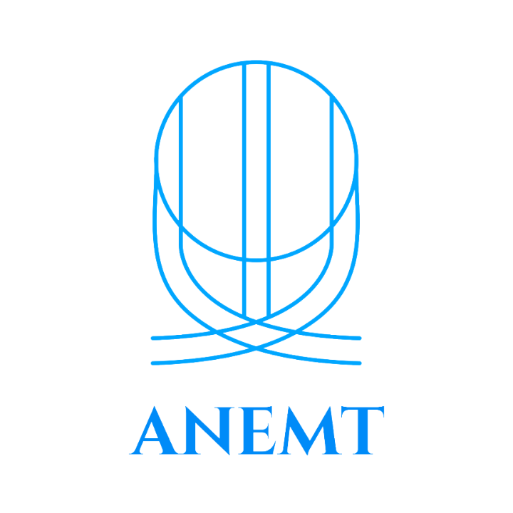 ANEMT LLC