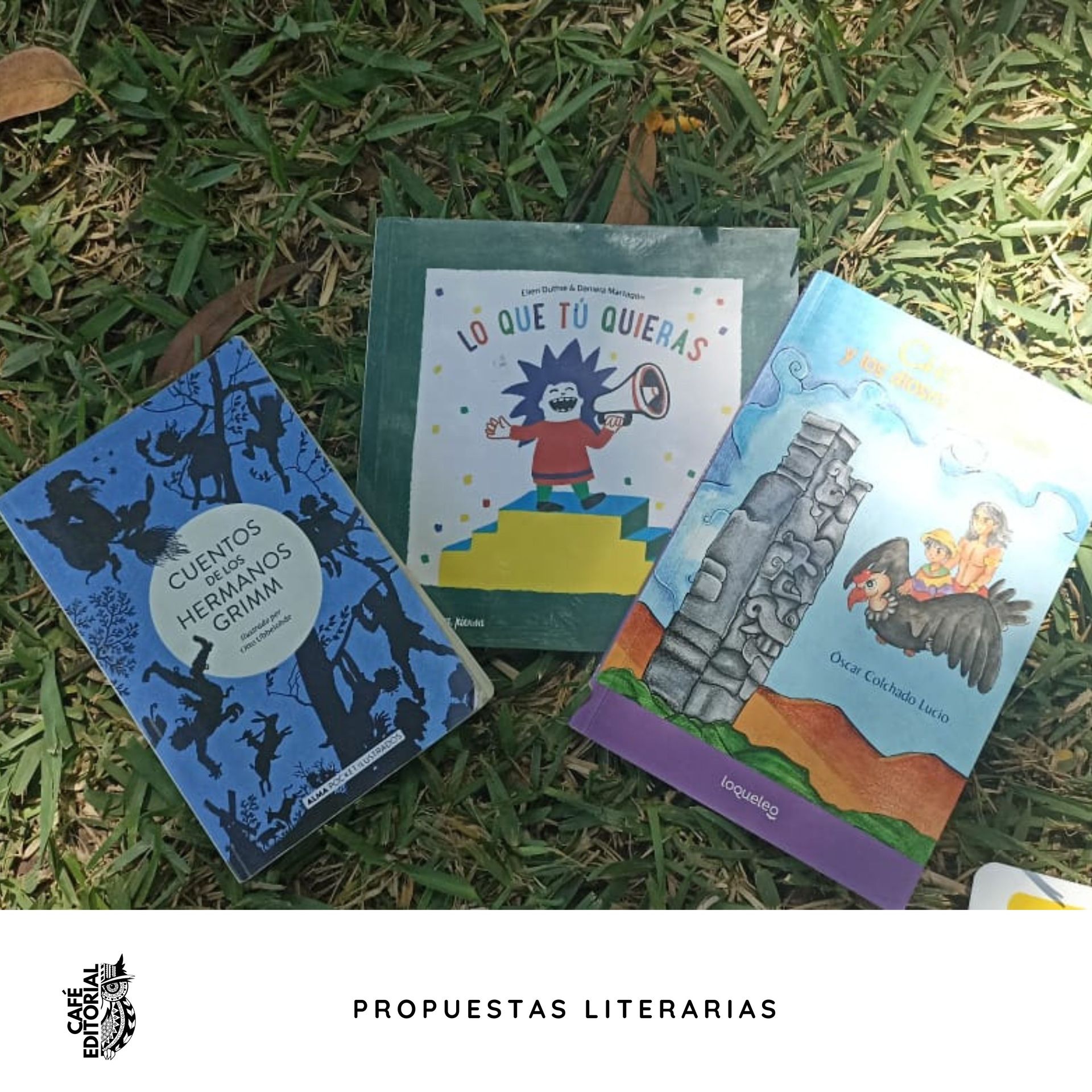 Galería en miniatura