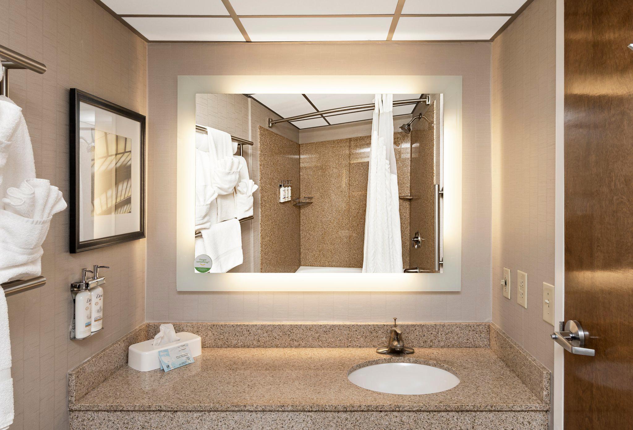 Holiday Inn Greenville by IHG Image