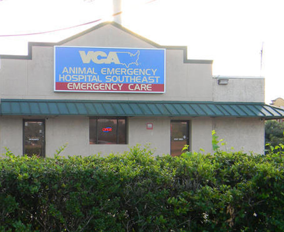 VCA Animal Emergency Hospital Southeast Coupons near me in ...