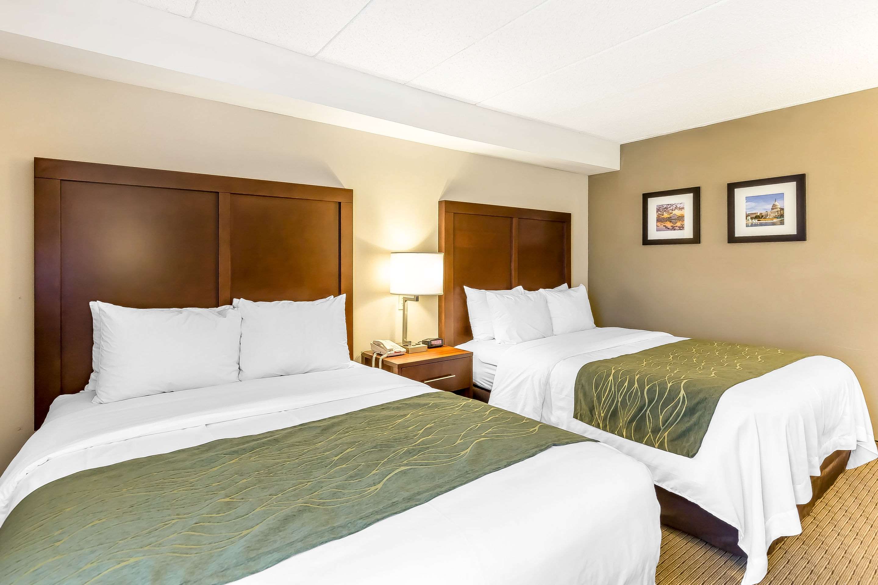 Comfort Inn Shady Grove - Gaithersburg - Rockville Photo