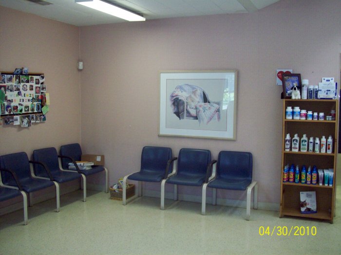 VCA Lewis Animal Hospital Photo