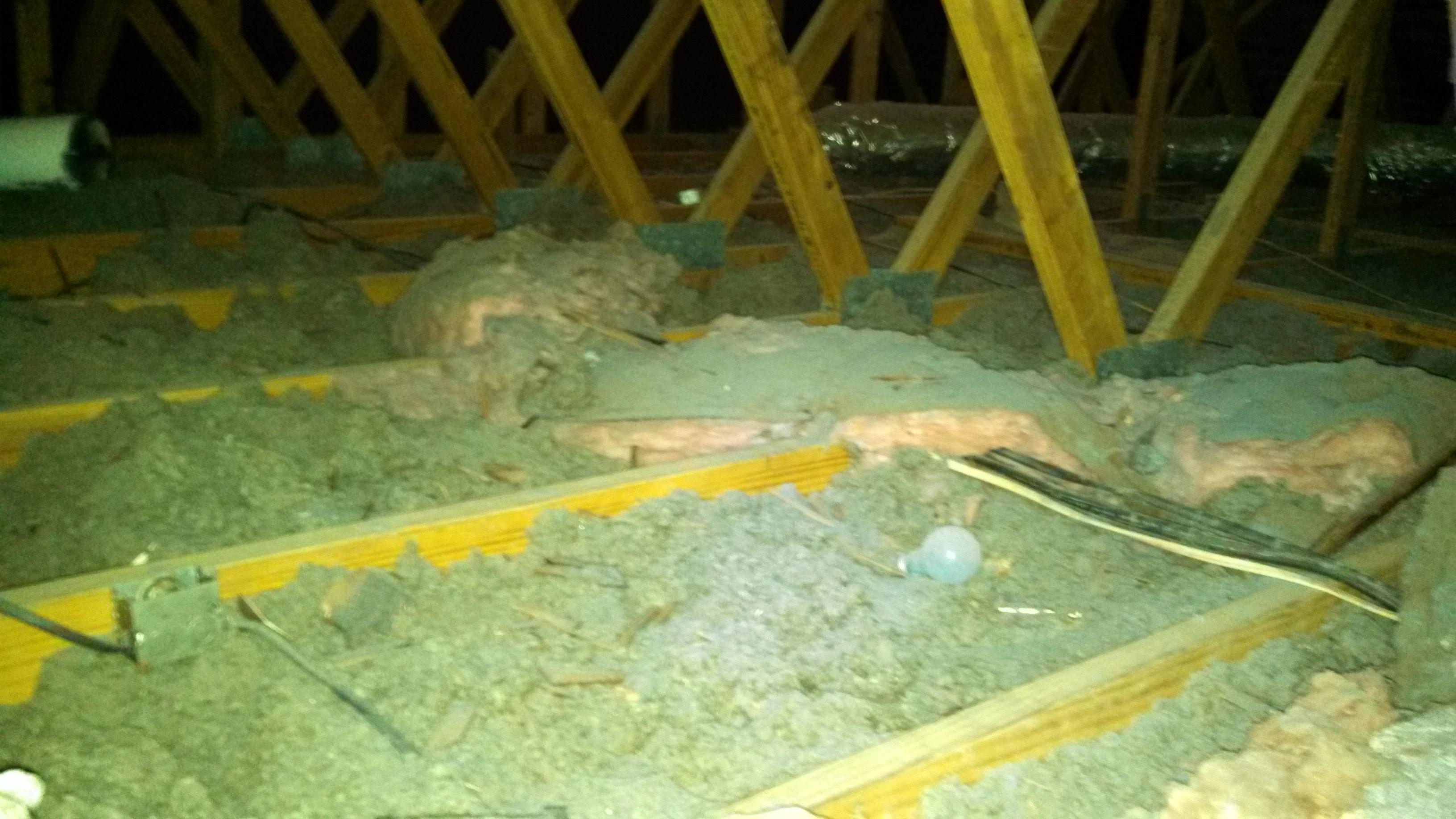 Think Home Insulation Image