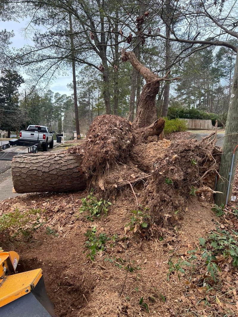 R U Stumped LLC Image