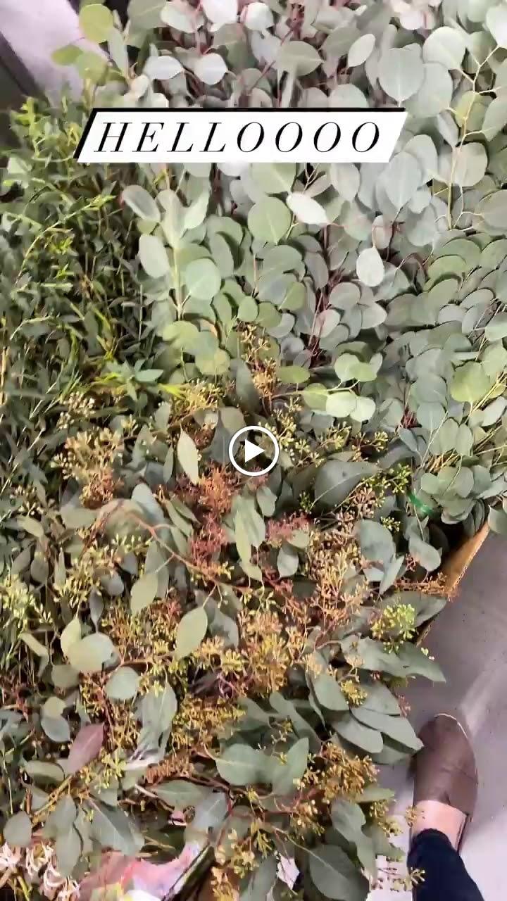 Printz Florist Image