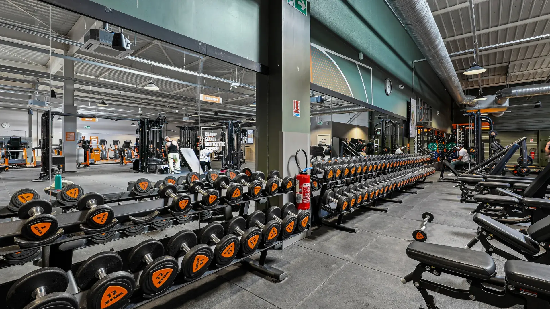 Miniature de la galerie