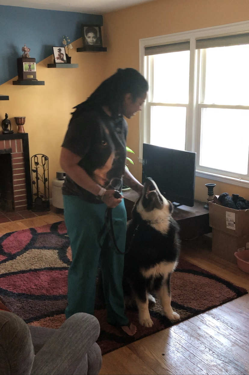 Underdog K-9 Academy LLC Image