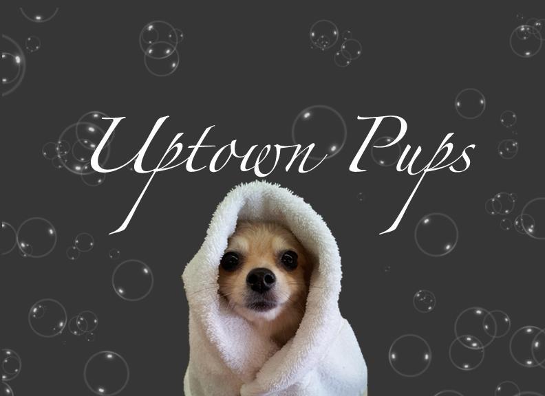 Uptown Pups Photo