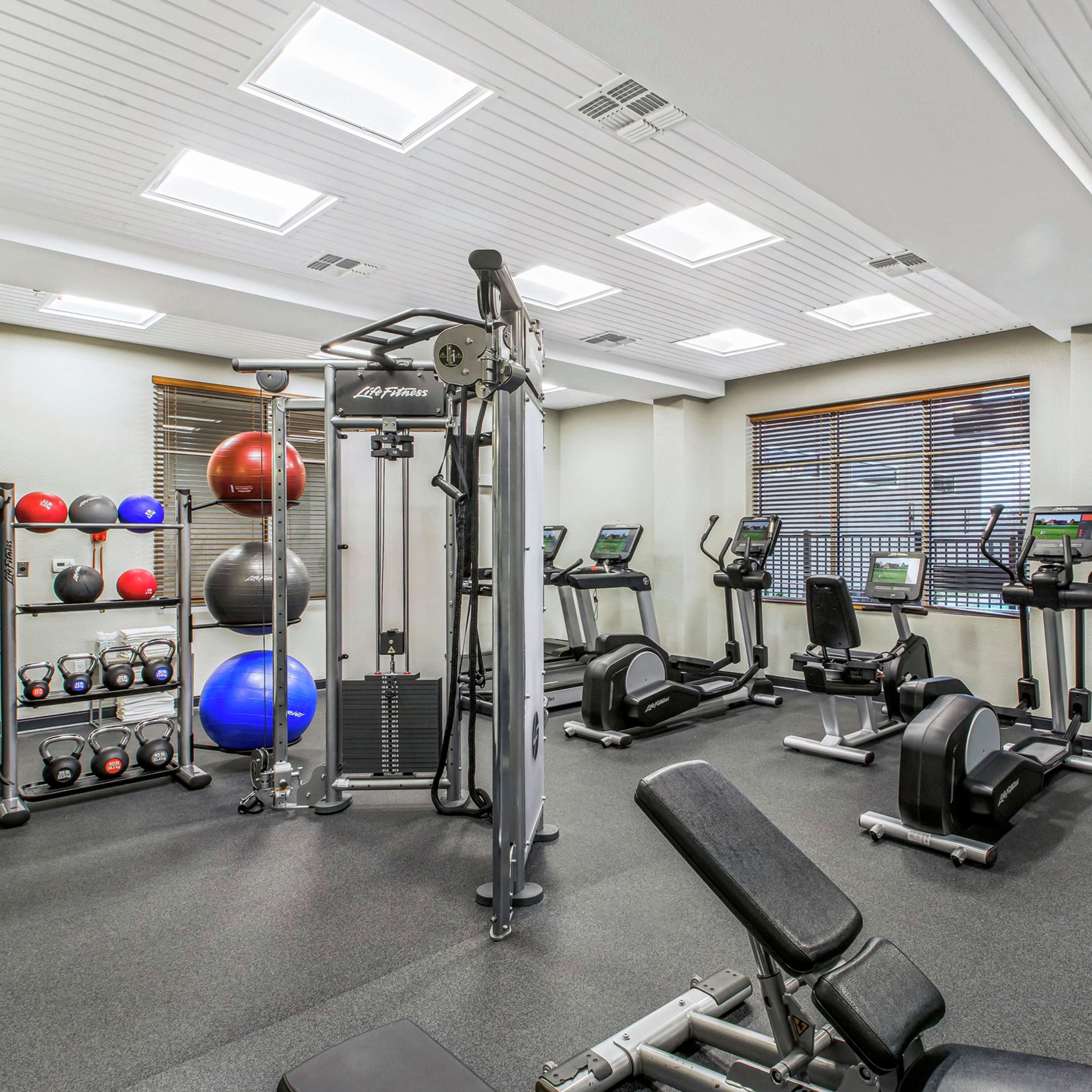 Health club  fitness center  gym