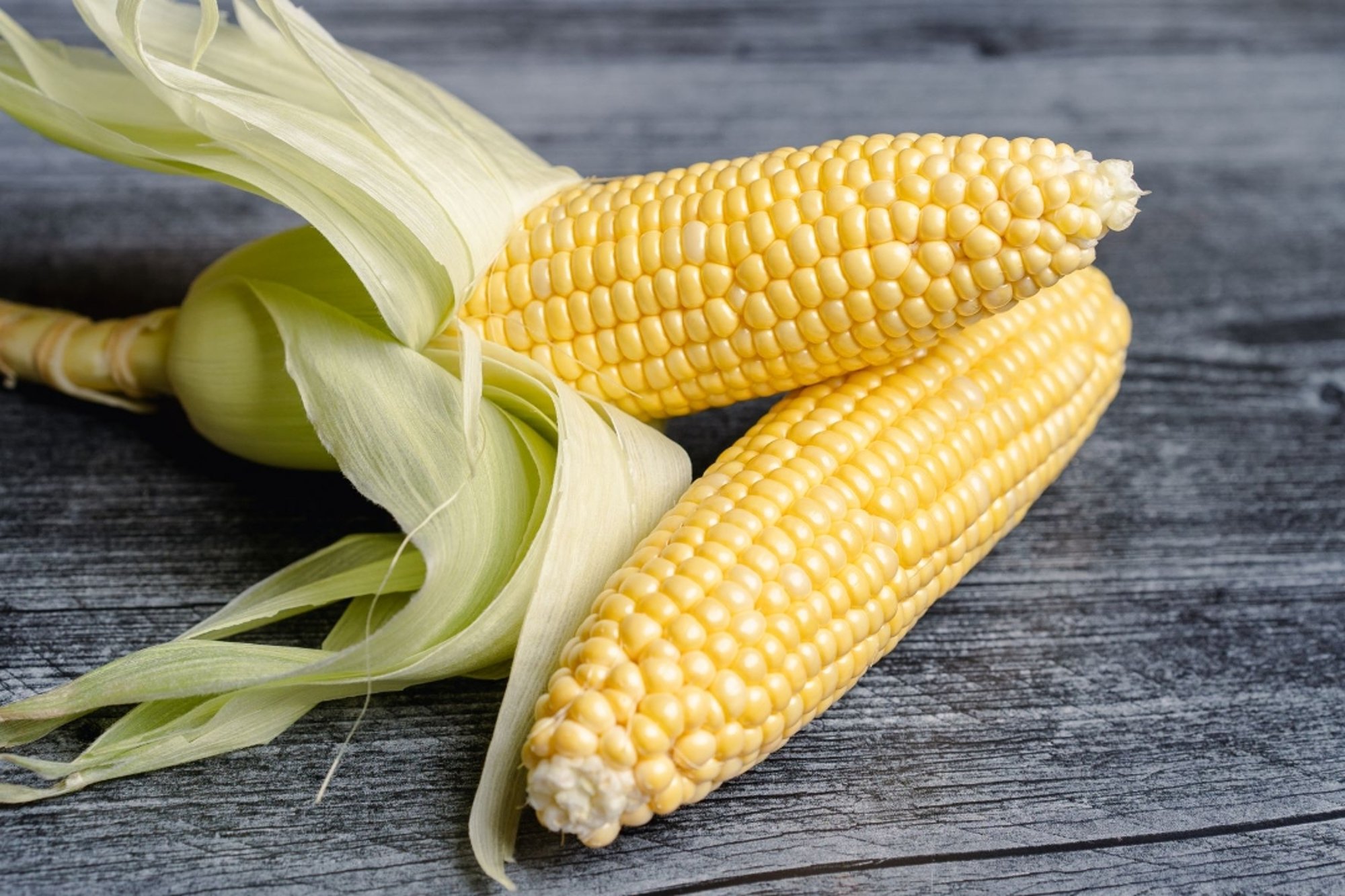 Corn on the Cob