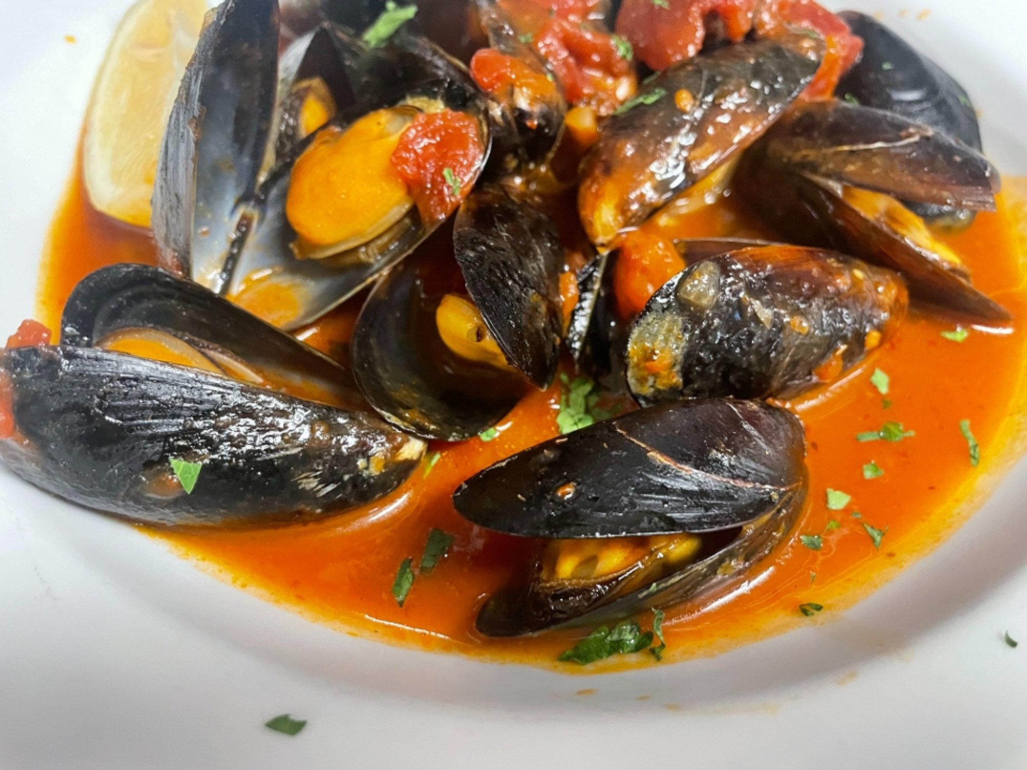 Appetizer Mussels w/ Red Sauce
