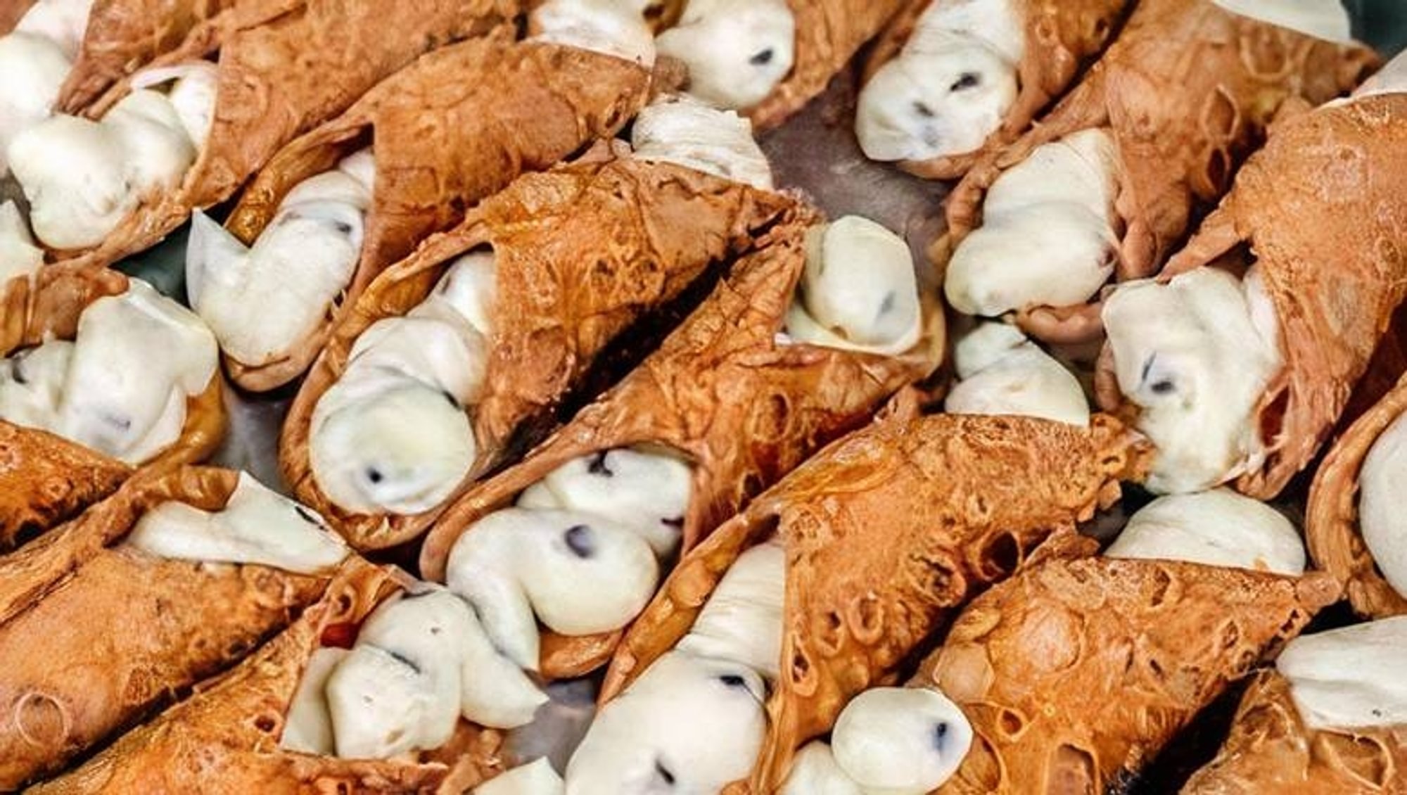 Cannoli