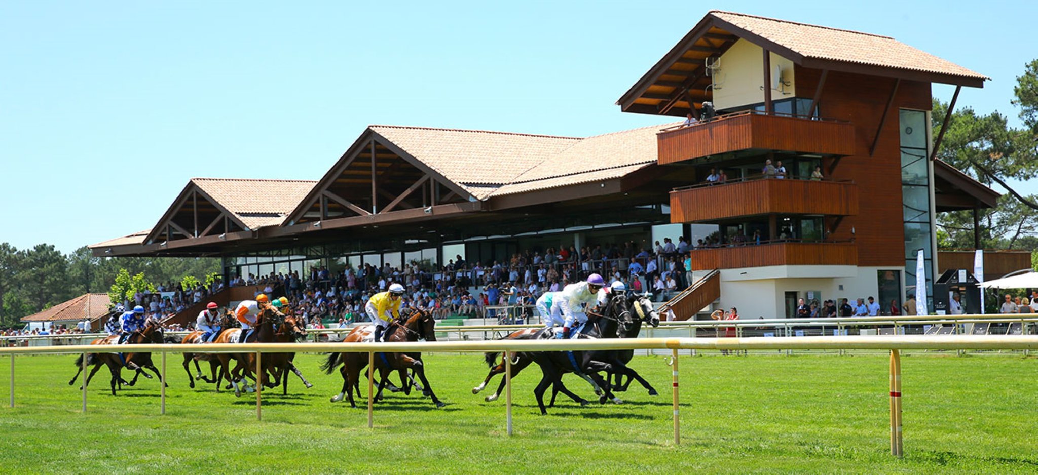 Miniature de la galerie