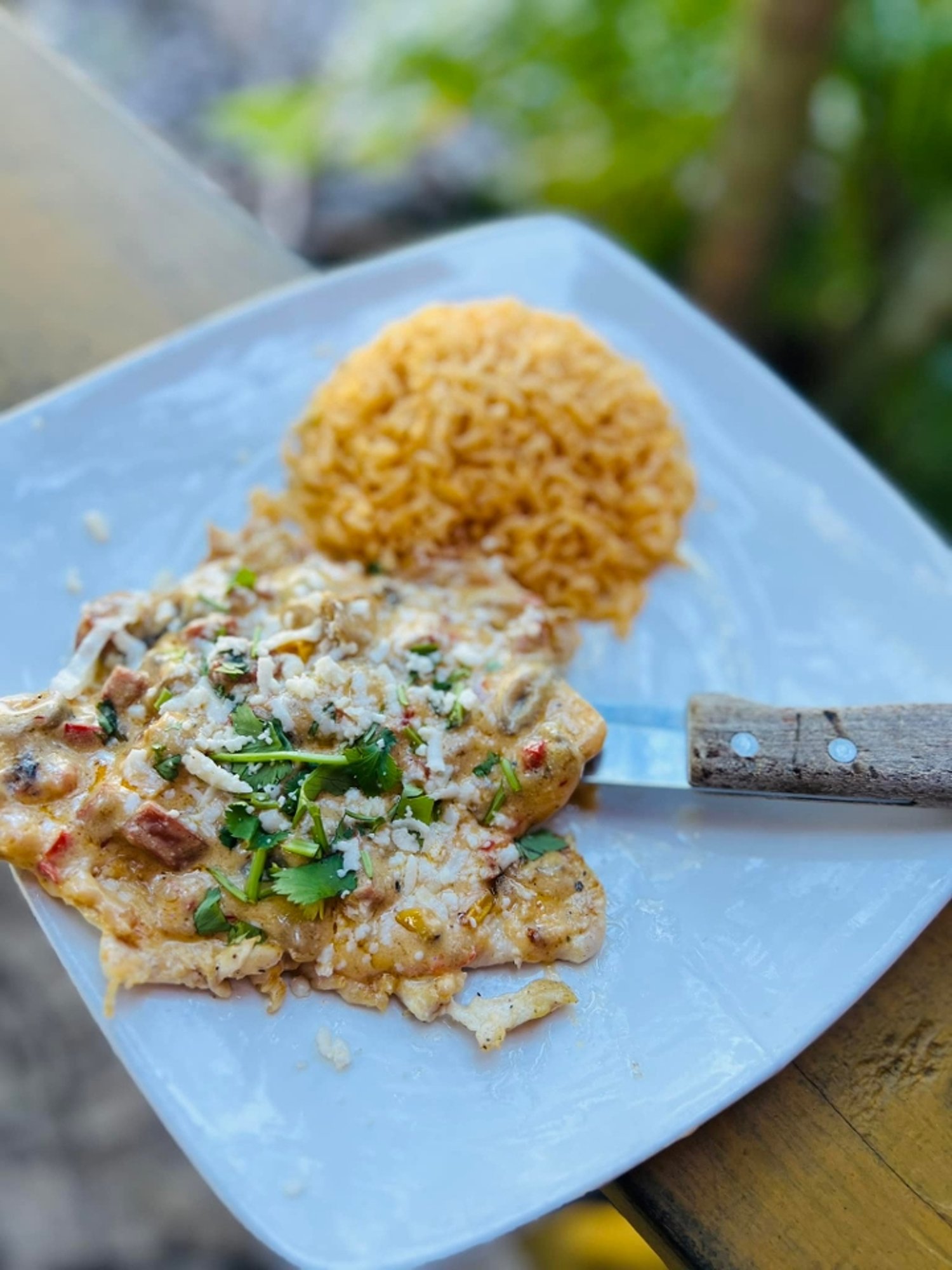 MANZANILLO POLLO