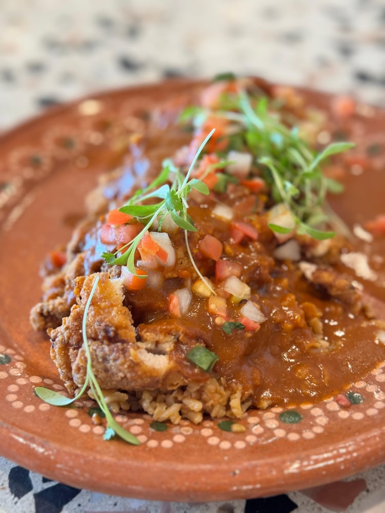 Chicken Japanese Curry Mole