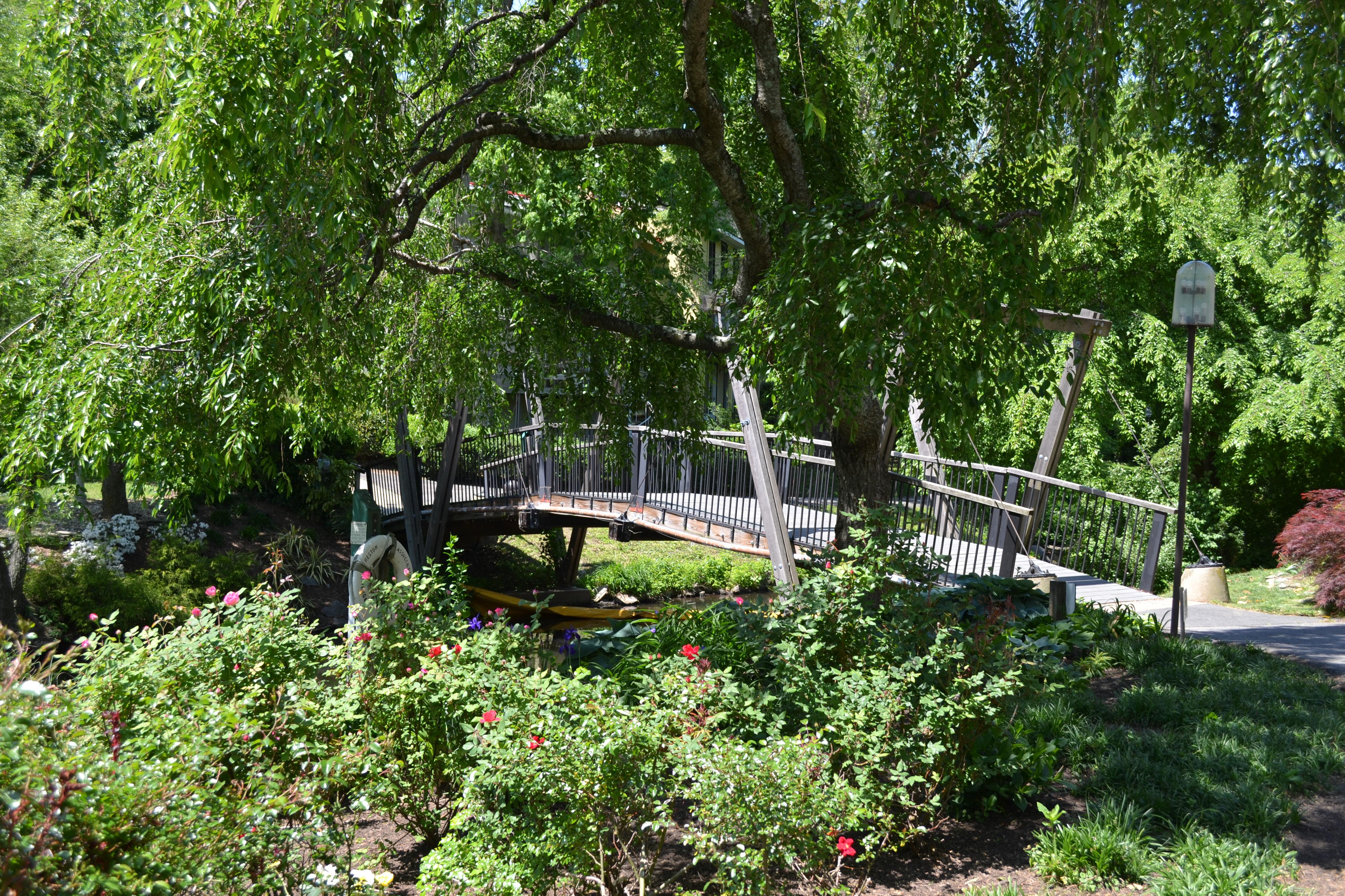 If you ever go over to Lake Anne to shop, eat or go to the Farmers Market, be sure to take a walk down toward the lake and follow the path to the right. You will come upon this beautiful bridge. It is a 'must see' for all Restonians!