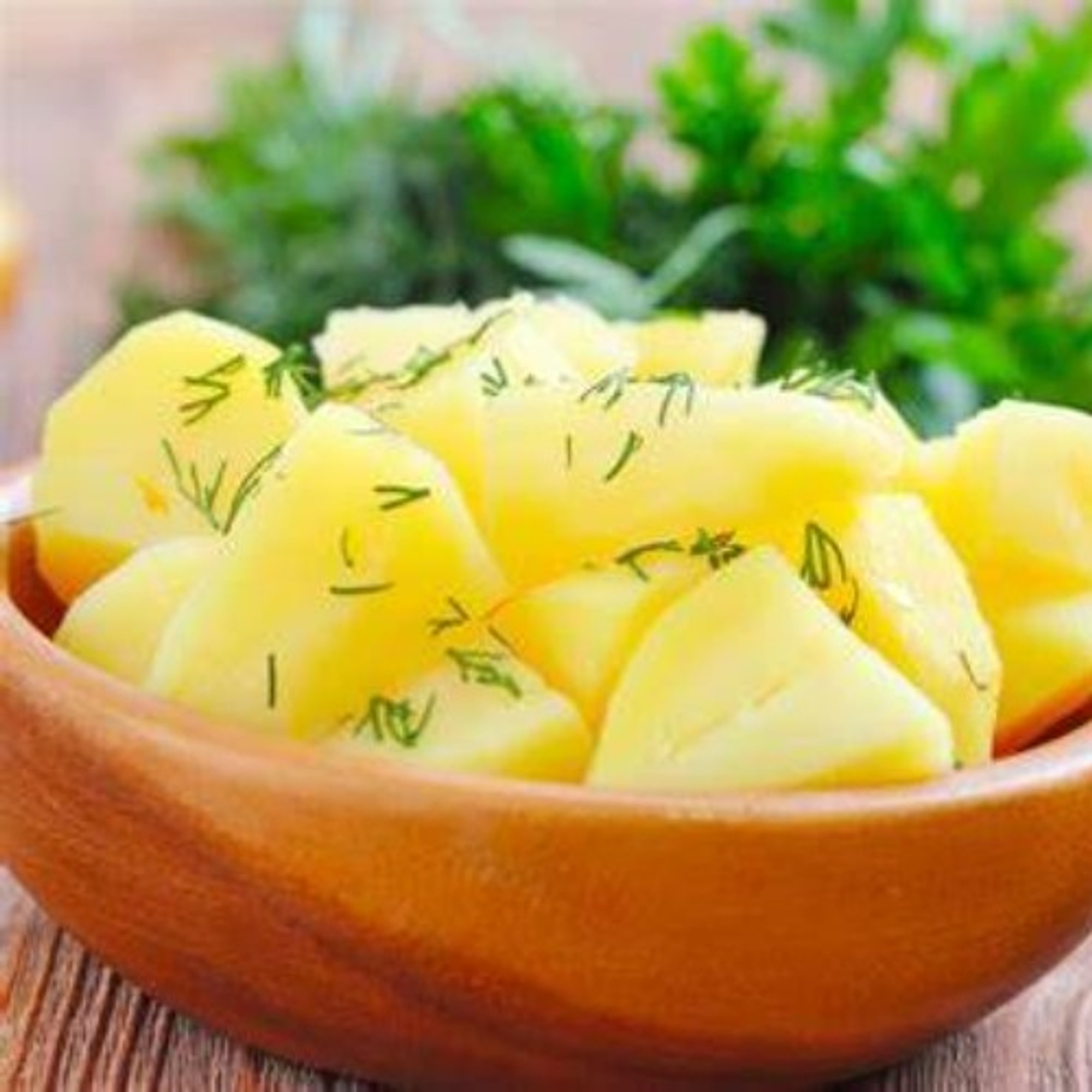 Boiled Potato 16 oz