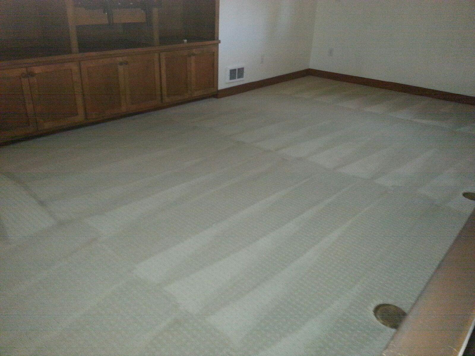 Anderson Carpet , Wood & Tile Cleaning Photo