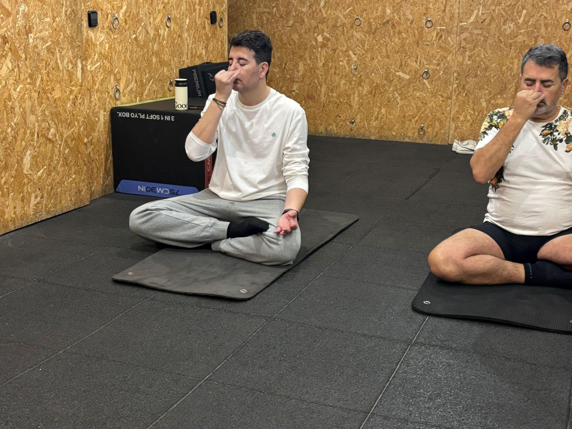 Galería en miniatura