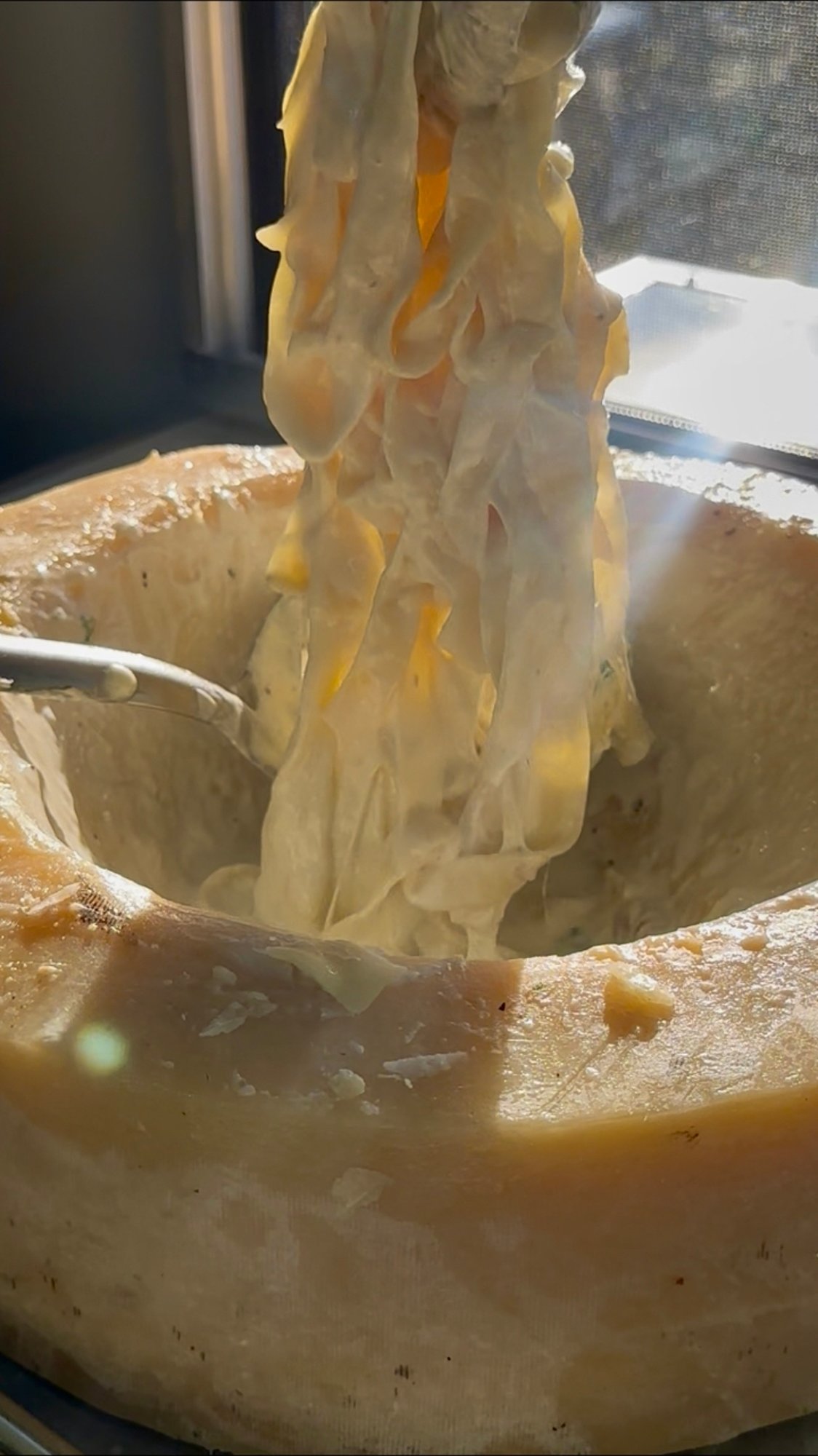 Classic Alfredo (twisted in parm wheel)