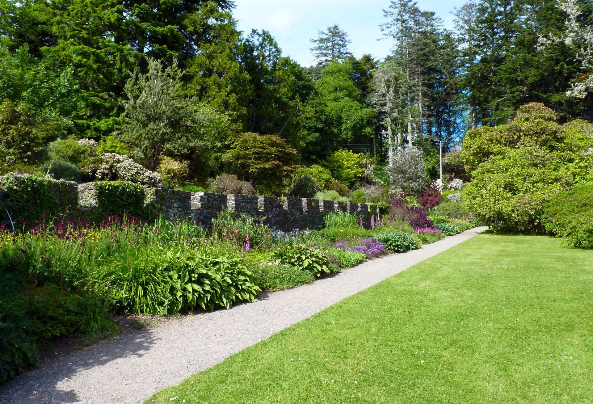 Hernandez Landscape & Maintenance