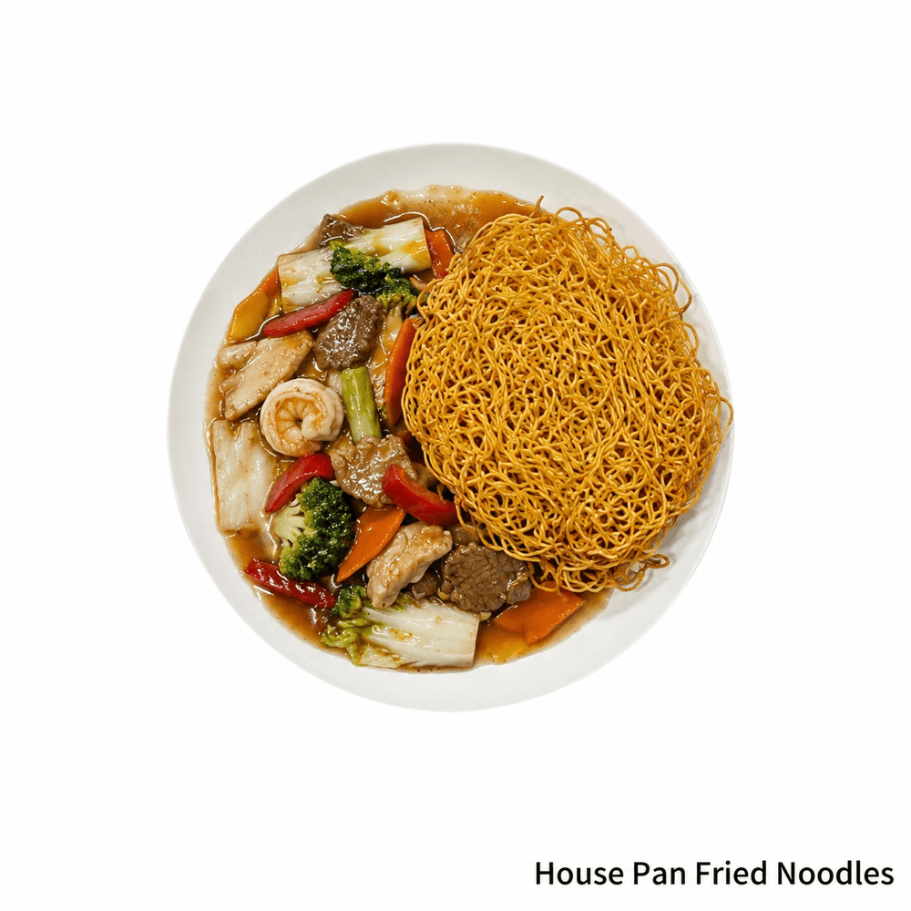 House Pan Fried Noodles