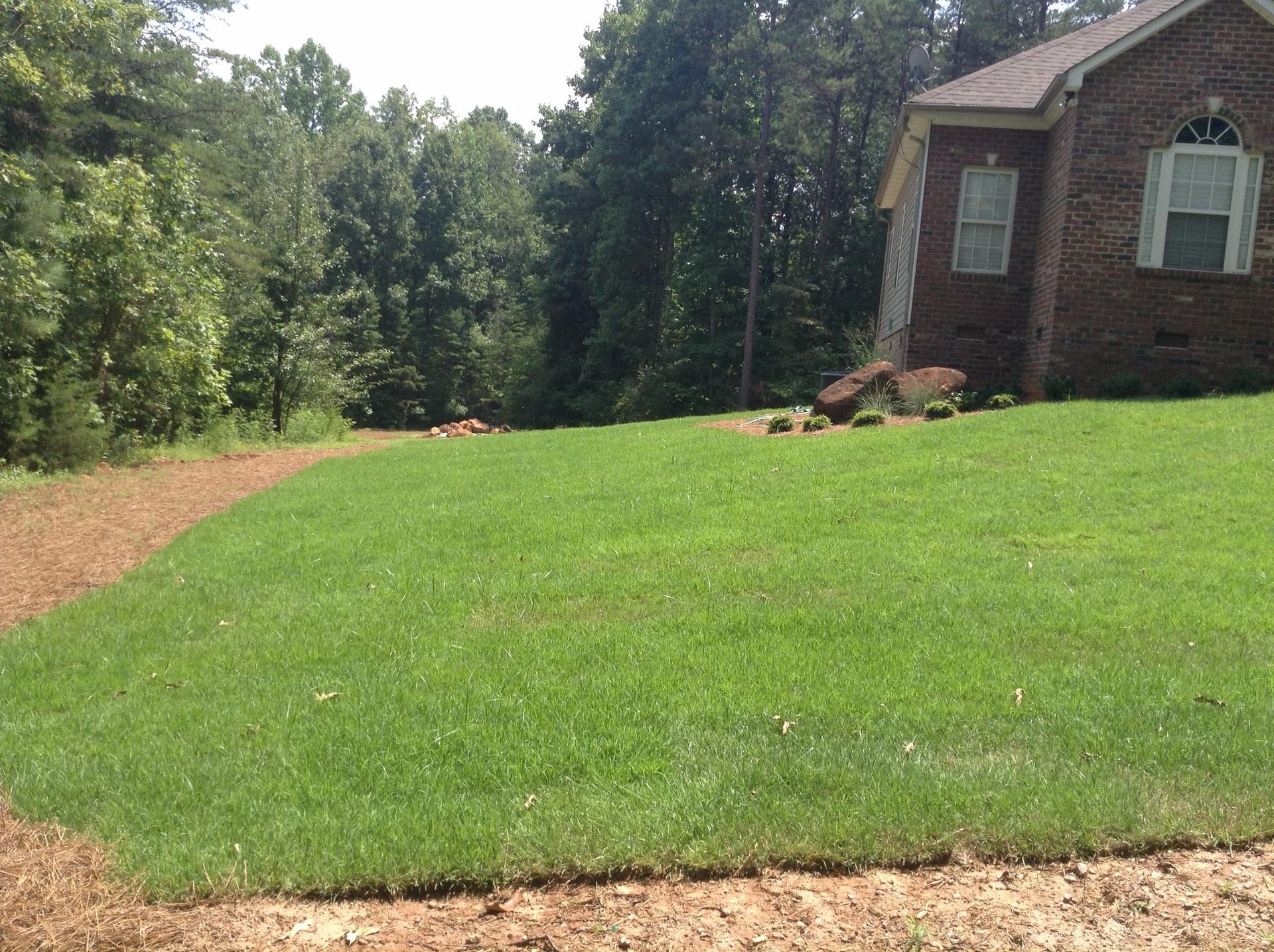 Anderson Lawn Care , Business Profile