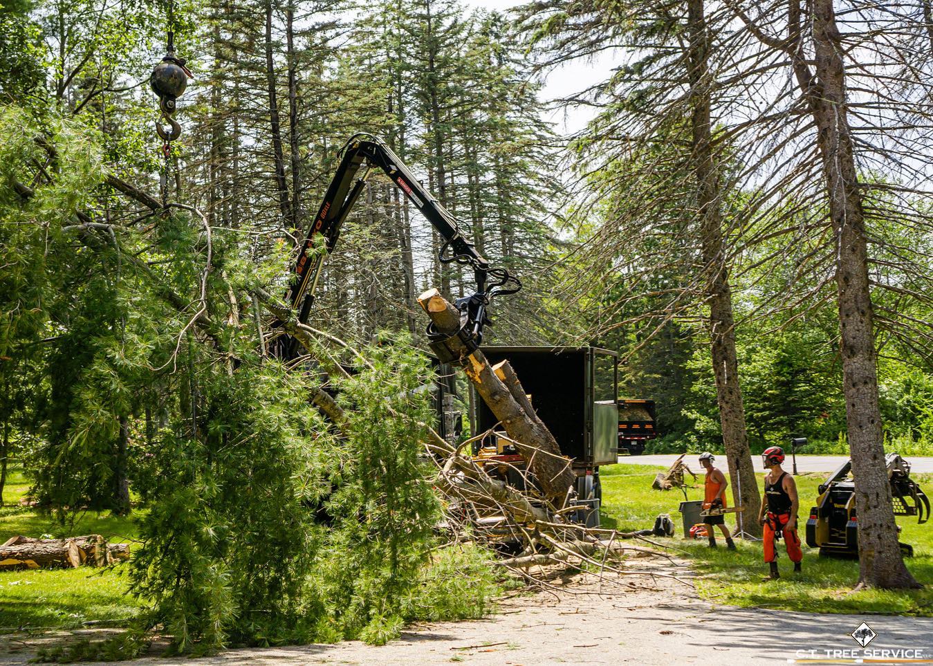 C.T. Tree Service LLC Logo