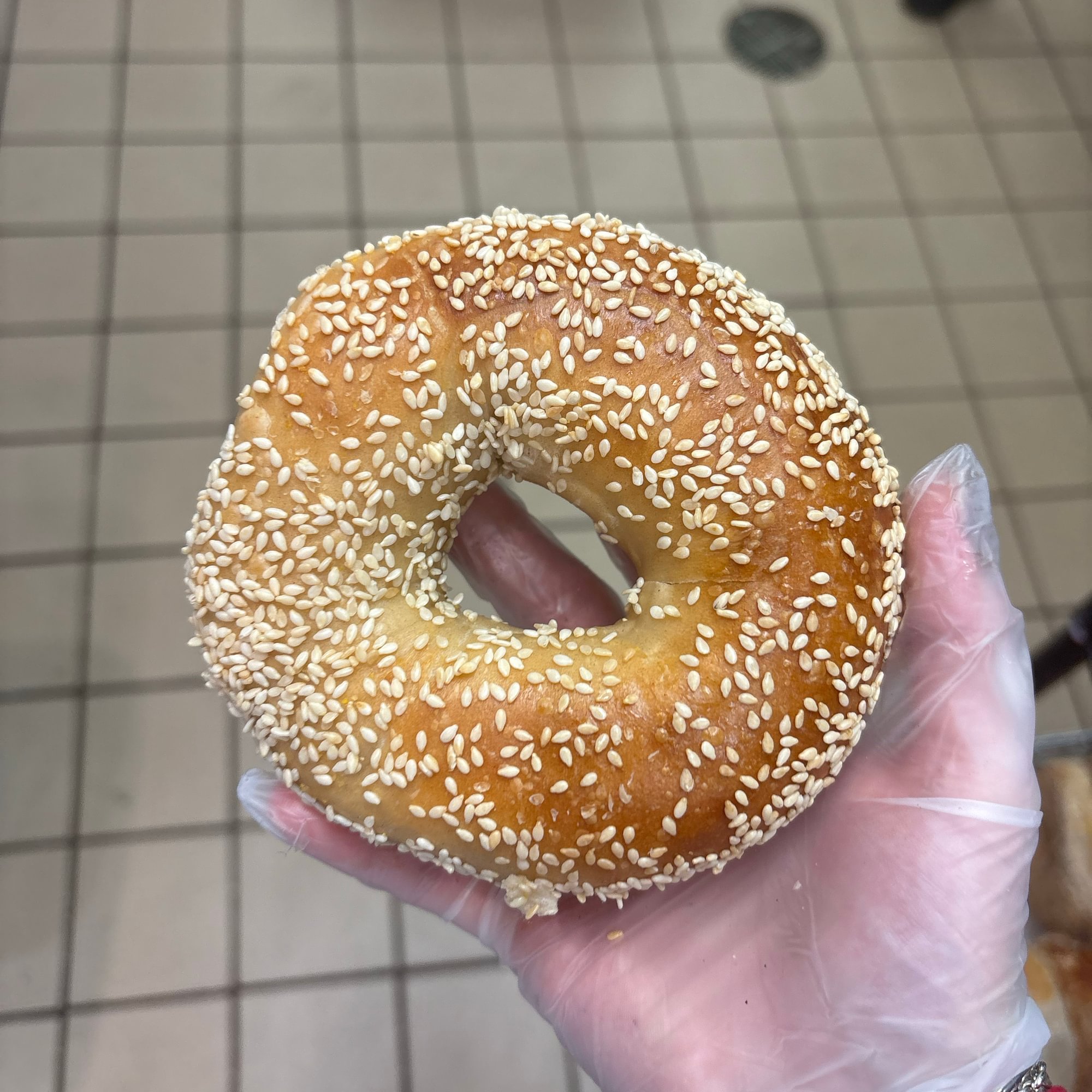 Sesame Bagel