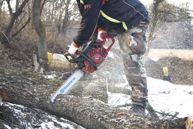 Images Tim's Tree Removal And Services LLC