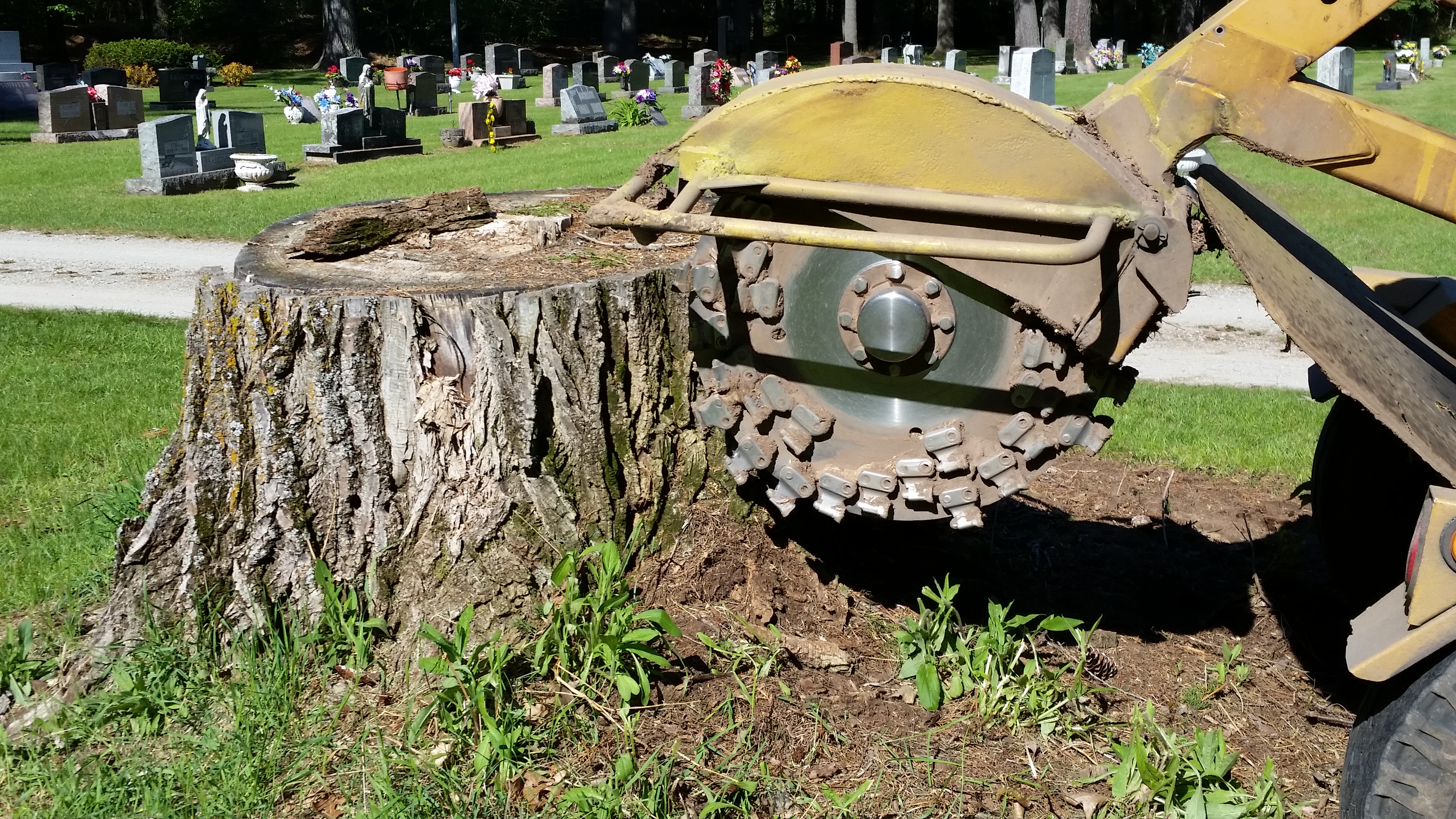 Stumpbusters of North East Wisconsin Logo