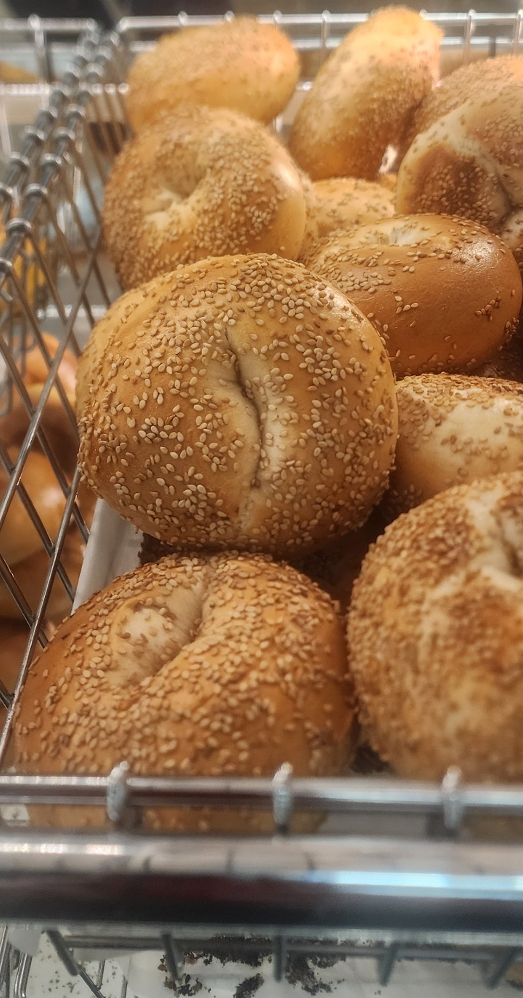 Bagel