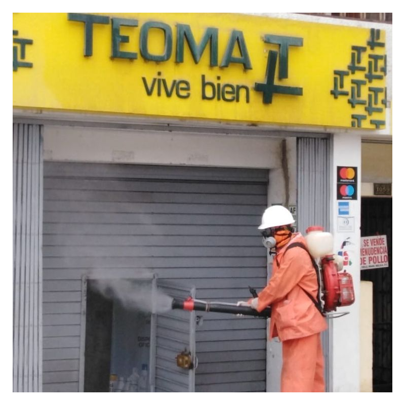 Galería en miniatura