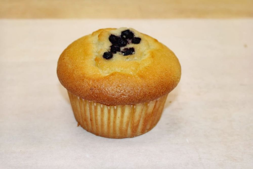 Blueberry Muffin