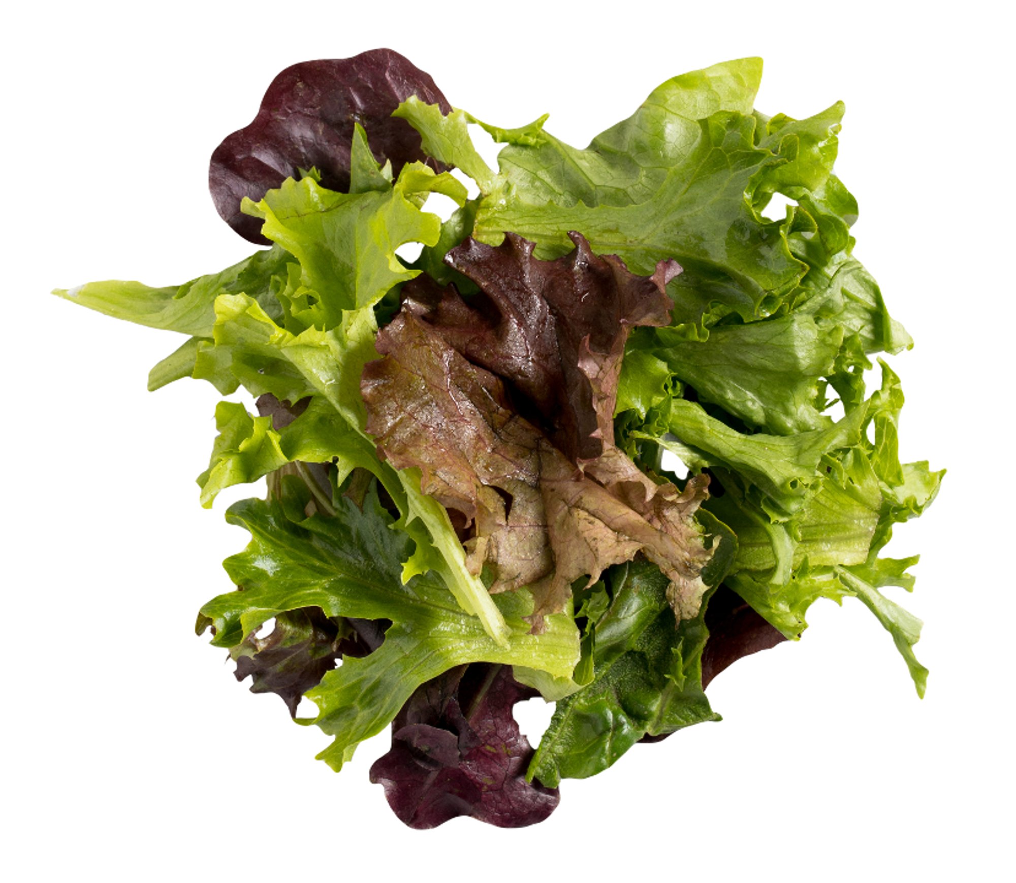 Side Artisan Mixed Greens