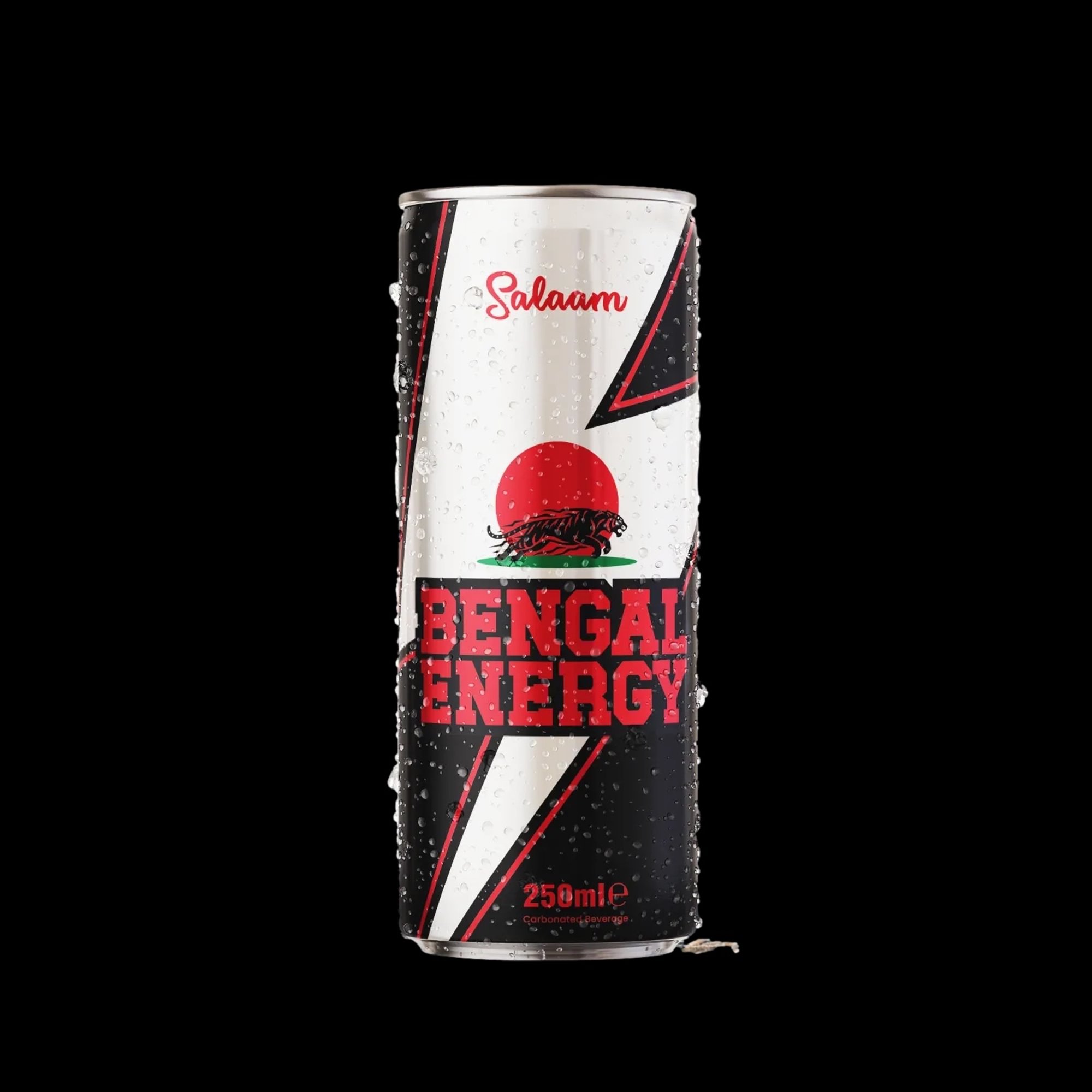 Salaam Bengal Energy