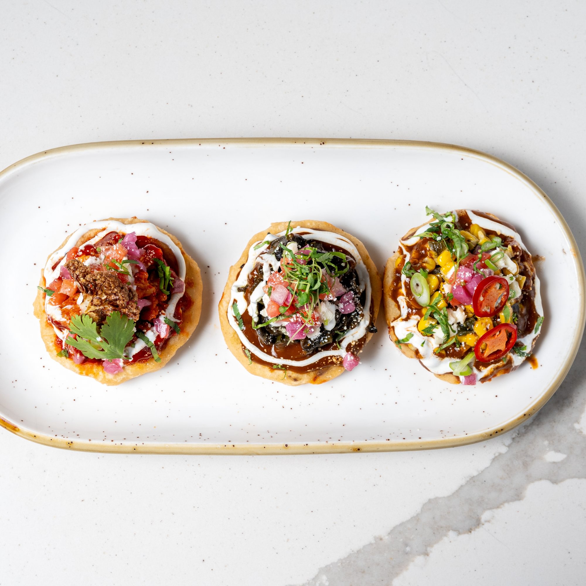 Tinga Sopes